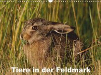 Tiere in der Feldmark